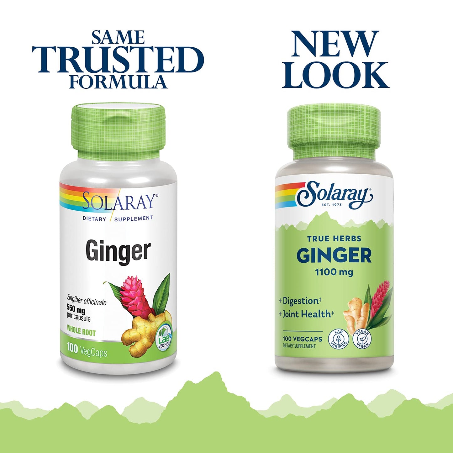 SOLARAY Ginger Root Supplement Capsule, 100 Count
