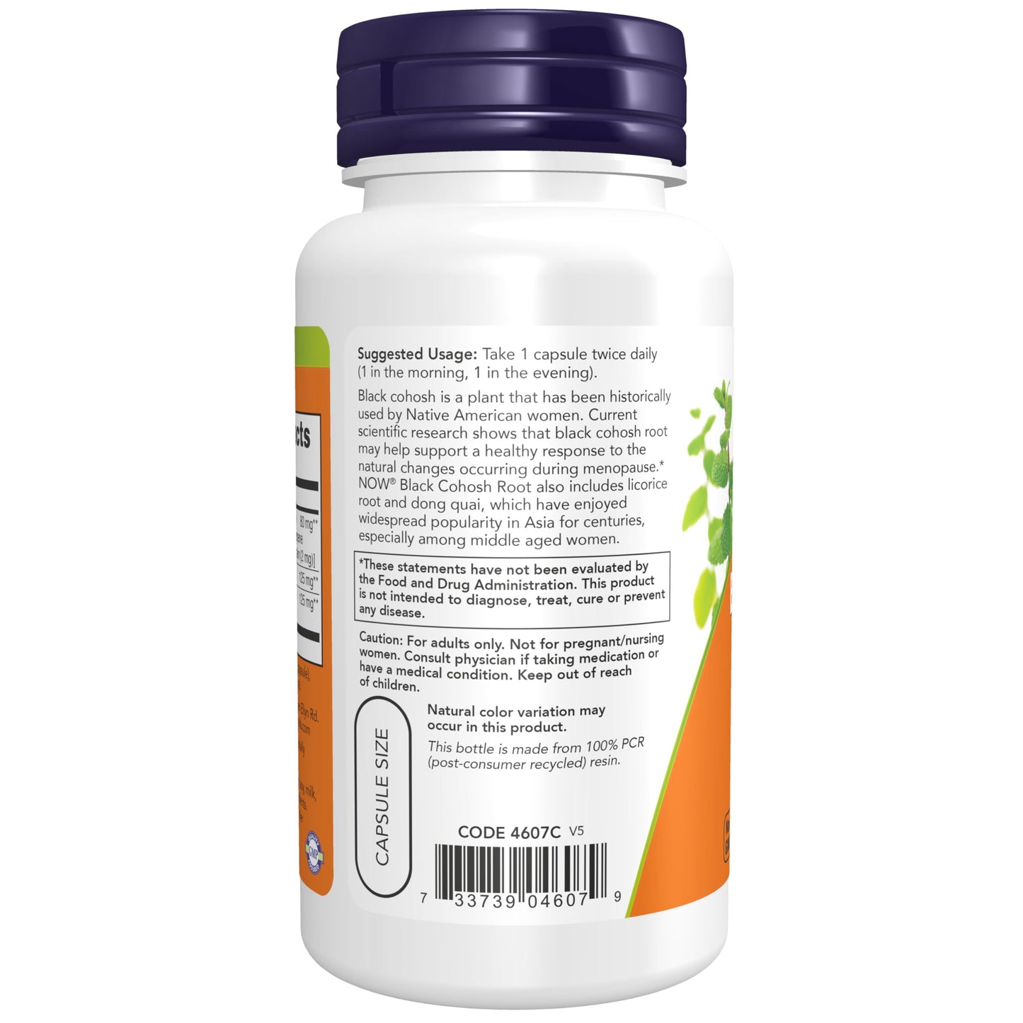 NOW Foods Black Cohosh 80 mg Capsule, 2-Pack