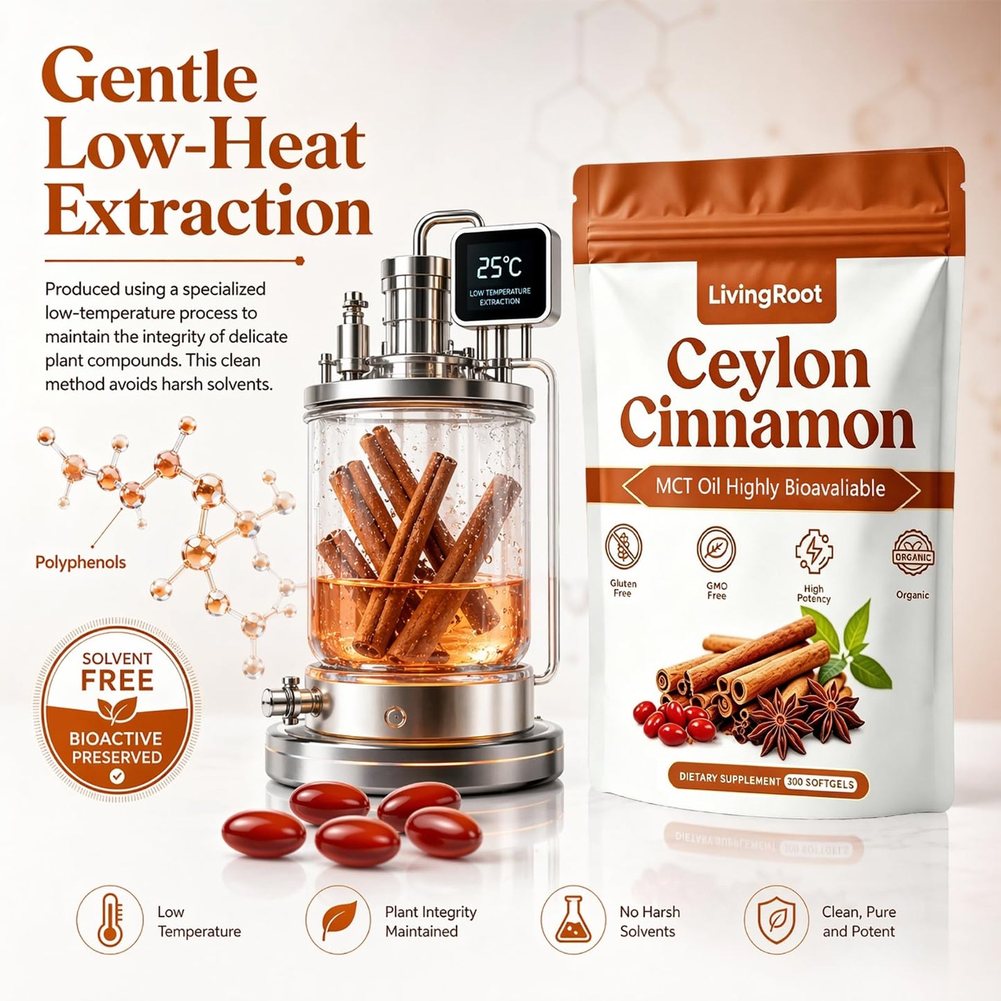 LivingRoot Ceylon Cinnamon Capsule with MCT Oil, 300 Count