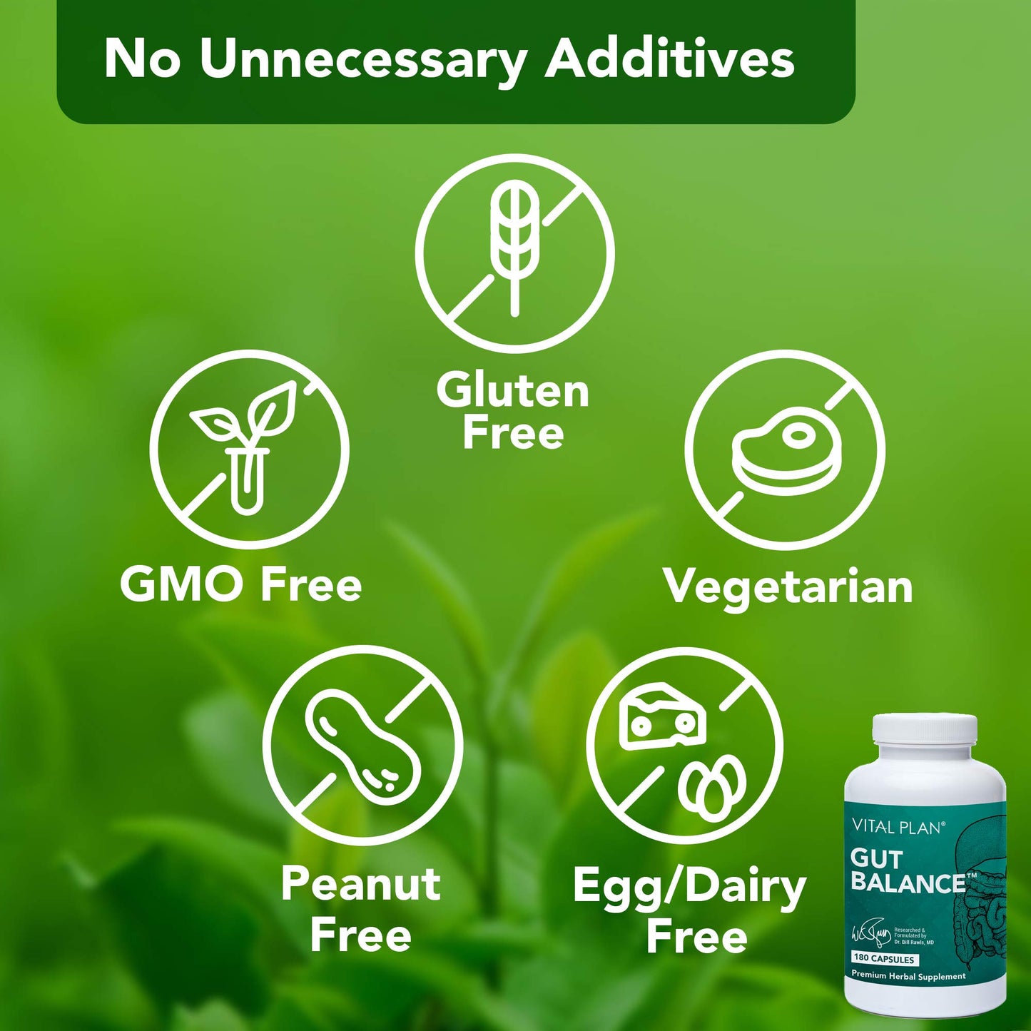Vital Plan Gut Balance Supplement Capsule 180 Count