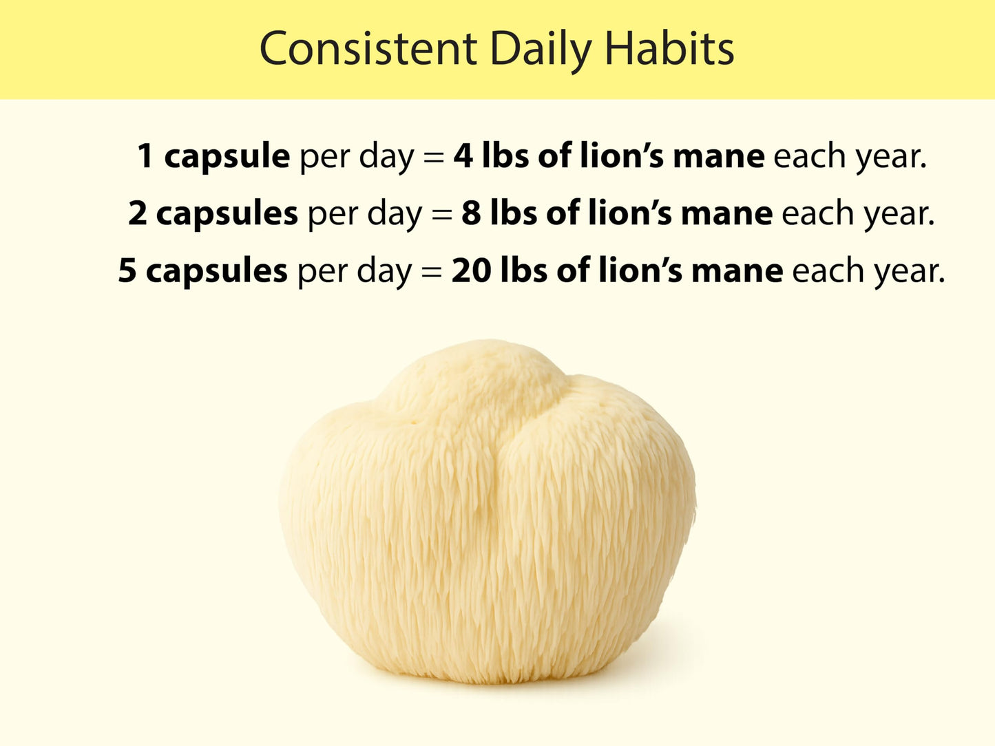 KOYAH Organic Lion's Mane Mushroom Capsules, Freeze-Dried, 60 Count