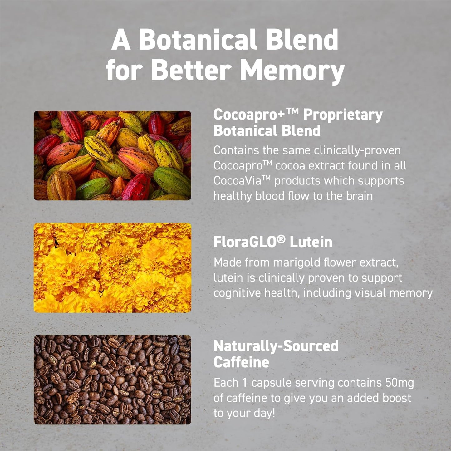 CocoaVia Memory & Focus Brain Supplement Capsules, 30 Capsules