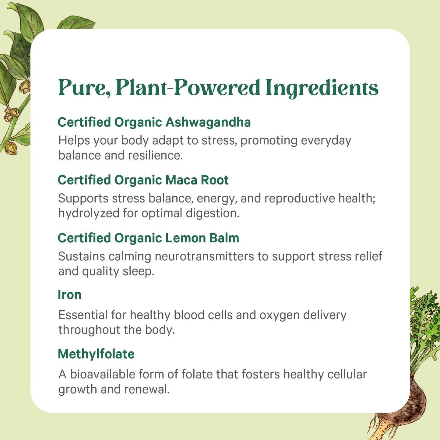 PURE SYNERGY Vita·Min·Balance Multivitamin for Women with Iron Tablets 60