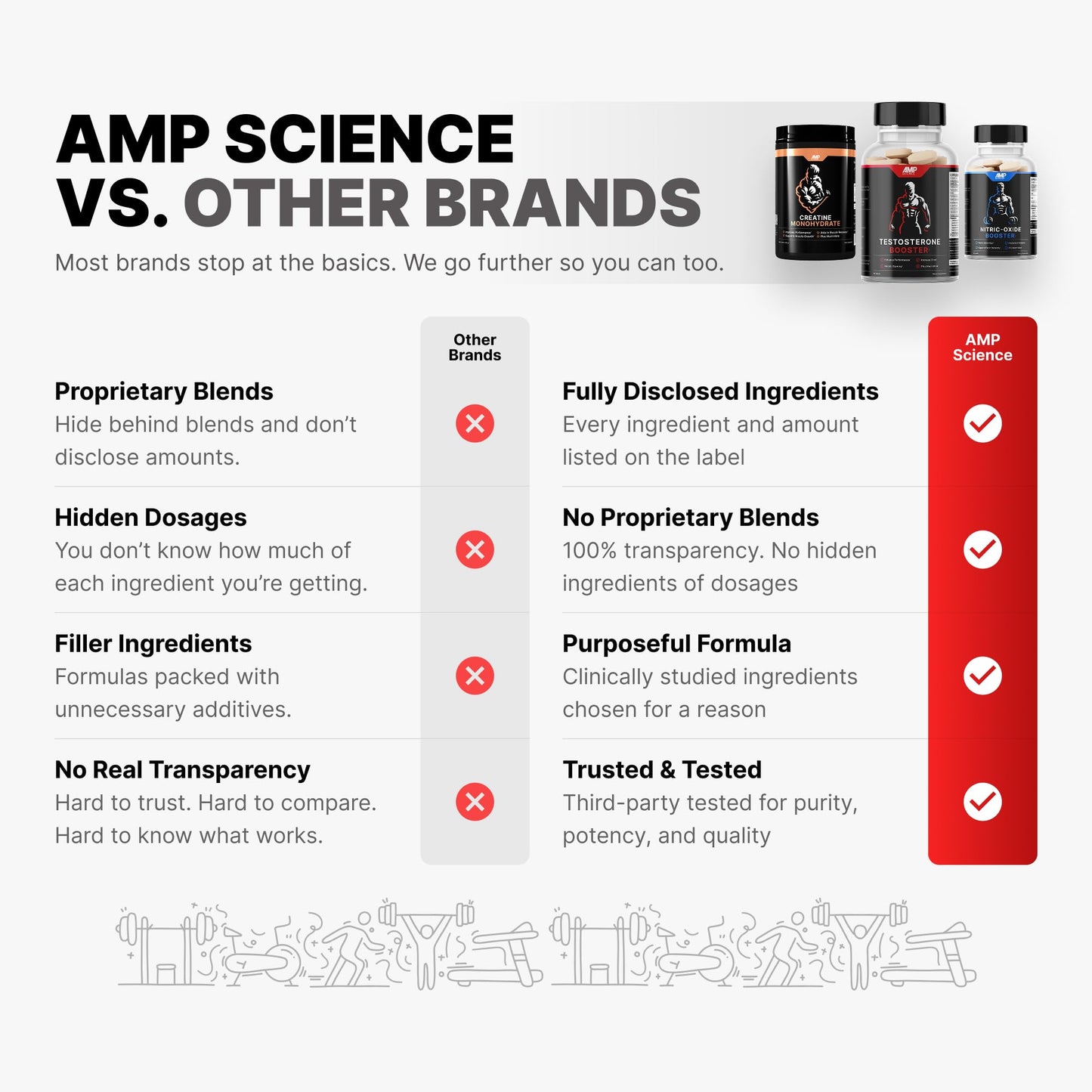AMP Science Creatine Monohydrate Powder, 10.69 Ounce