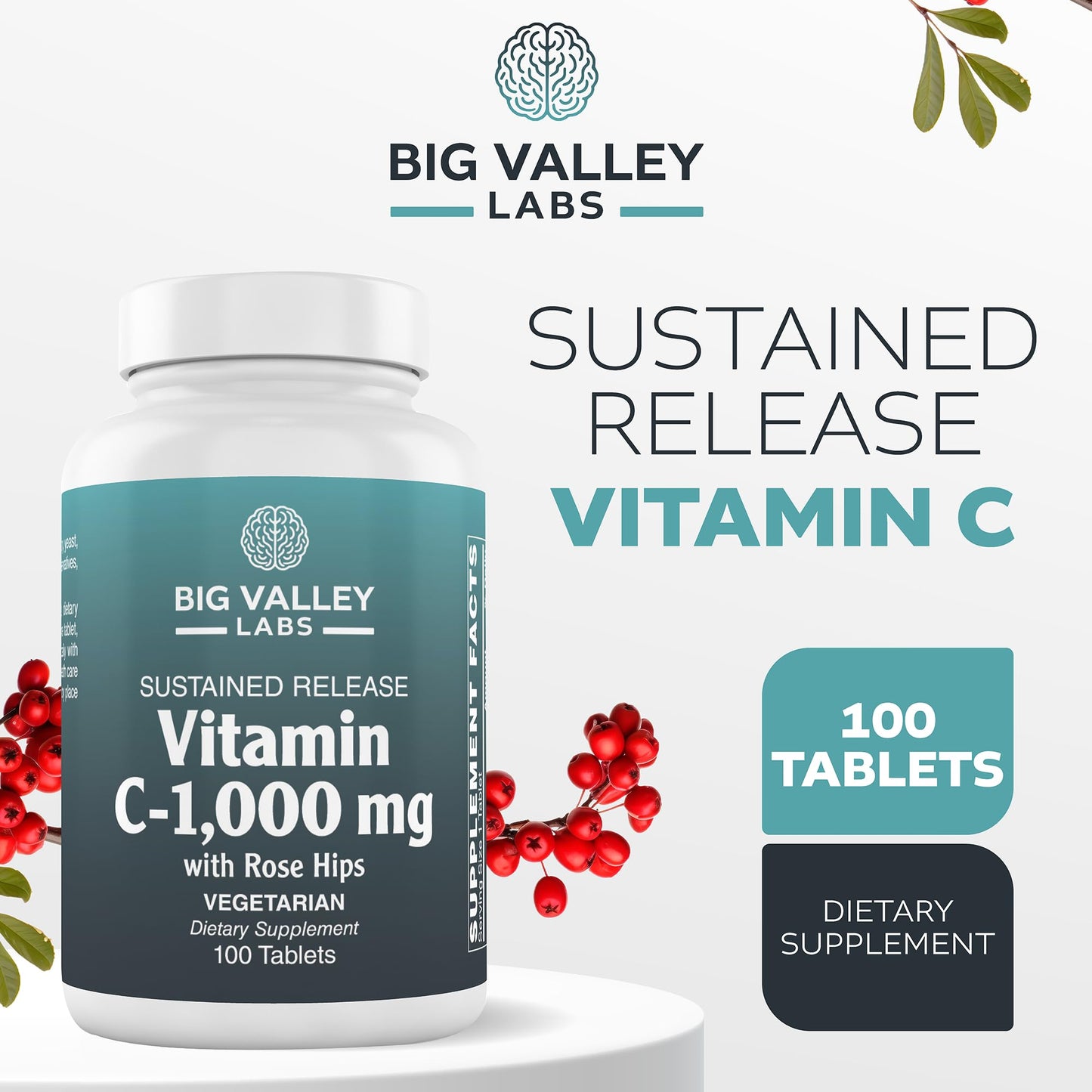 Big Valley Labs Vitamin C 1,000 mg + Bioflavonoids & Rose Hips – Potent Antioxidant Daily Wellness Support, Vegan, Non-GMO, Gluten-Free Capsule, 1 Count