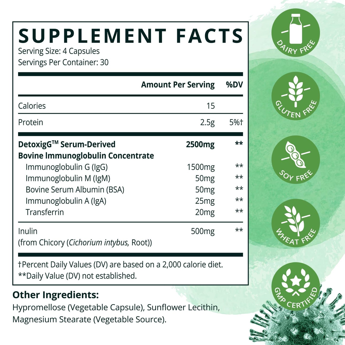 Pyelvornaxqut IgG Immunoglobulin Supplement - Bovine Colostrum Supplement Alternative - Dairy Free Bovine Immunoglobulin with IgM, IGA & Inulin Prebiotic Fiber 240 Capsules