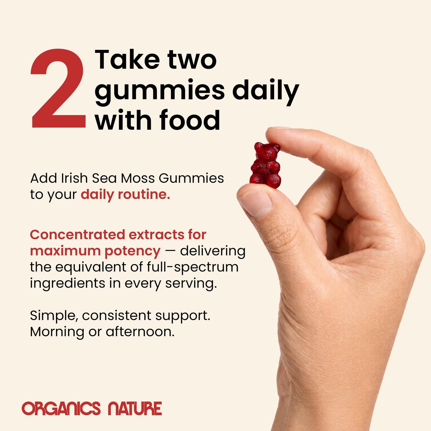 Organics Nature Irish Sea Moss Gummies Berry Flavored Gummy 1 Count