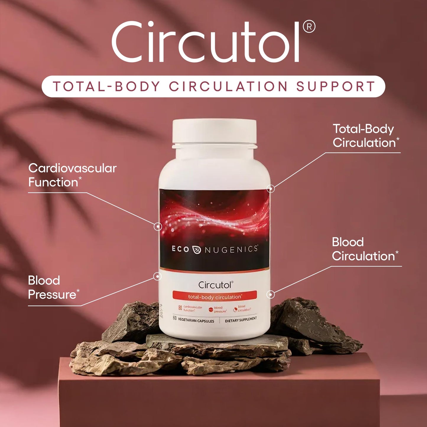 EcoNugenics Circutol Heart & Blood Pressure Supplement with Nattokinase, L-Carnitine, Hawthorn Berry Extract, Cordyceps & Reishi Mushrooms - Healthy Blood Flow & Nitric Oxide Support, 60 Capsules