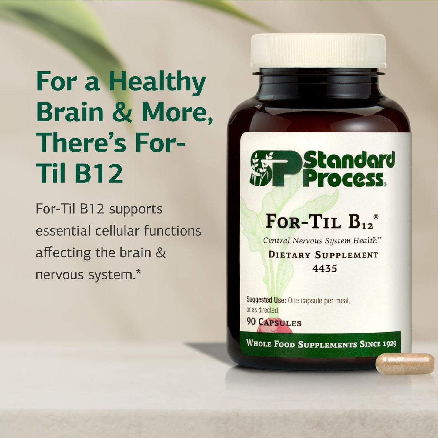 Standard Process Inc. for-Til B12 Capsules, 90 Count