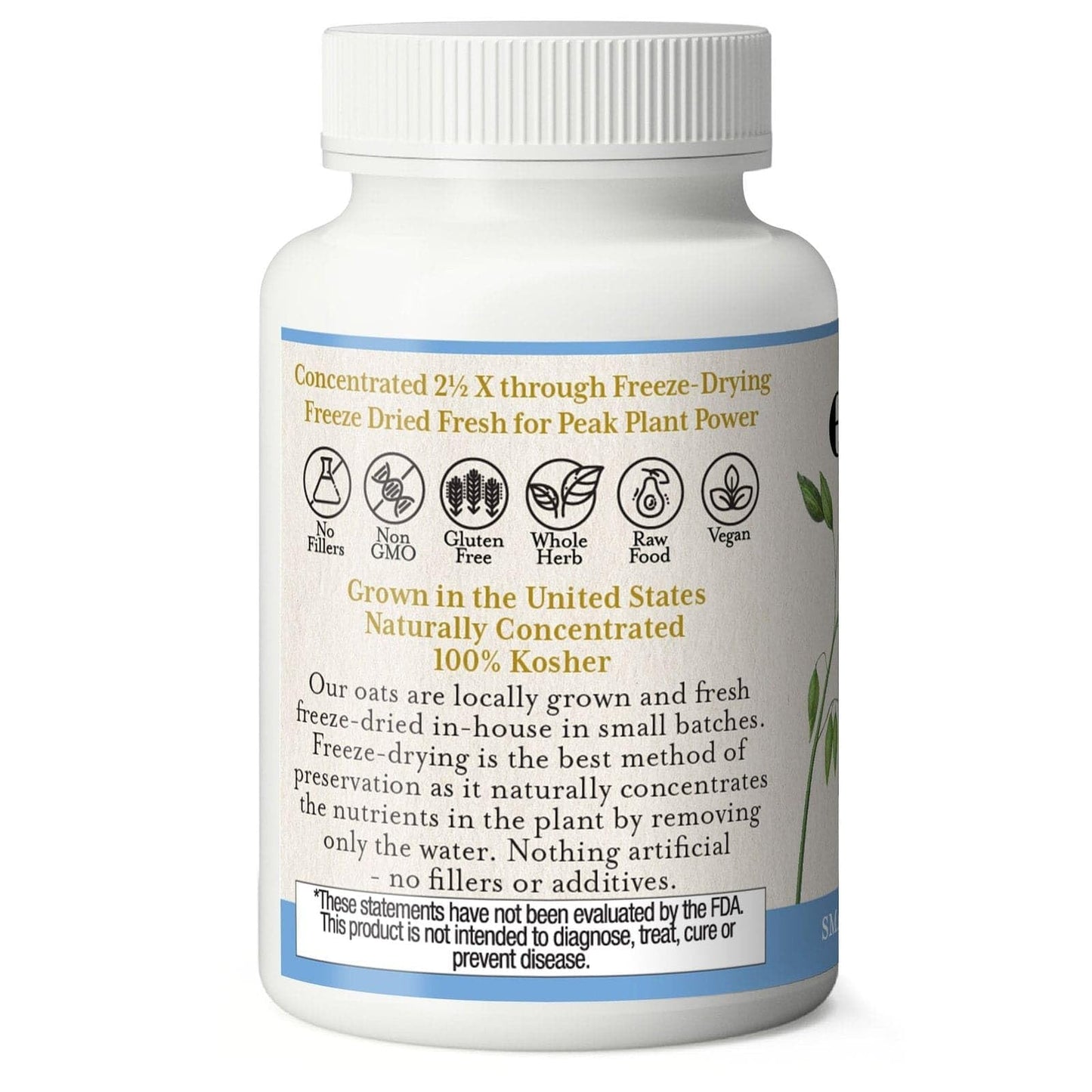 Eclectic Institute Organic Oats Capsules, 90 Count