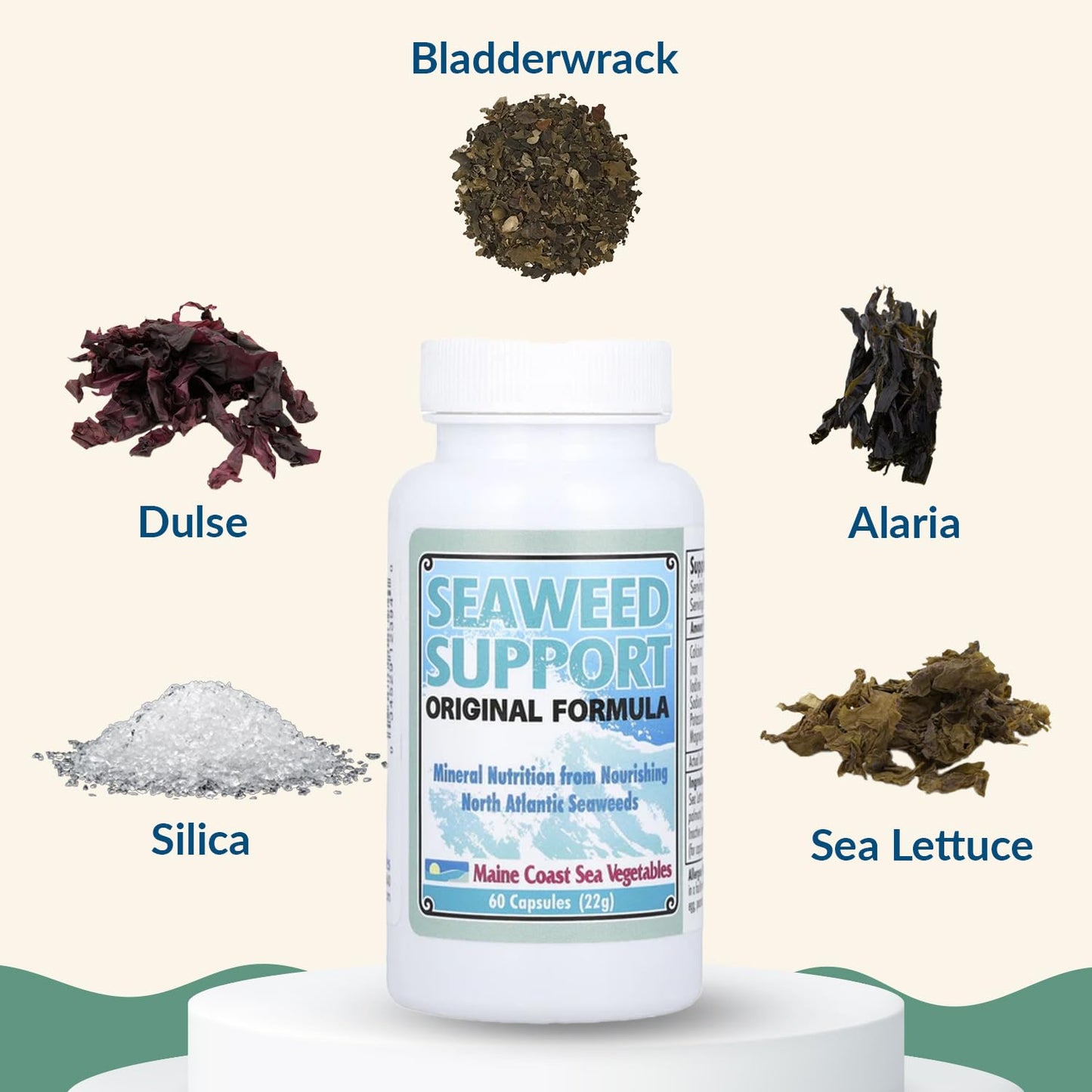 Maine Coast Sea Vegetables Seaweed Support Original Formula Iodine Supplement 60 Capsules
