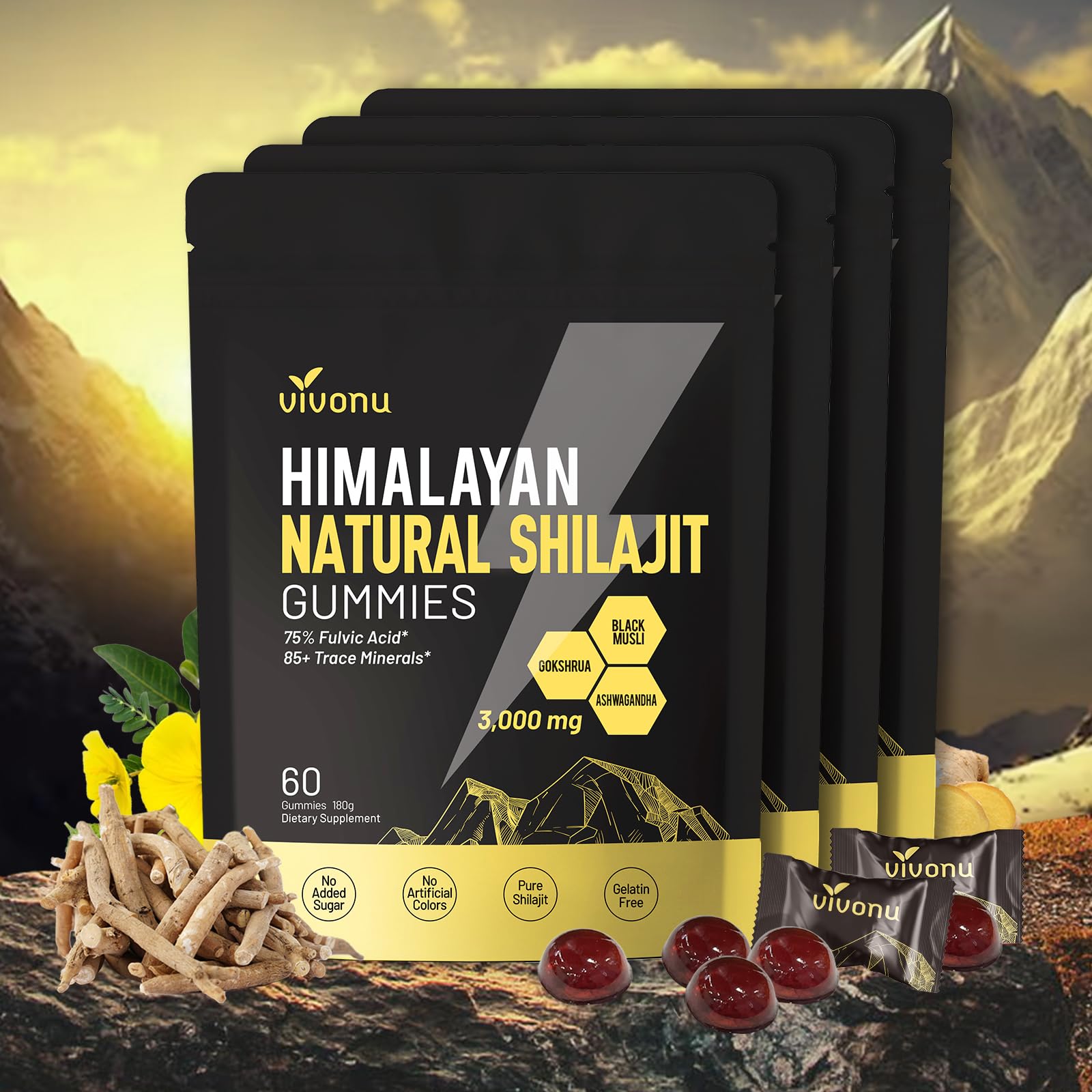 VivoNu Shilajit Softgel 300 Count