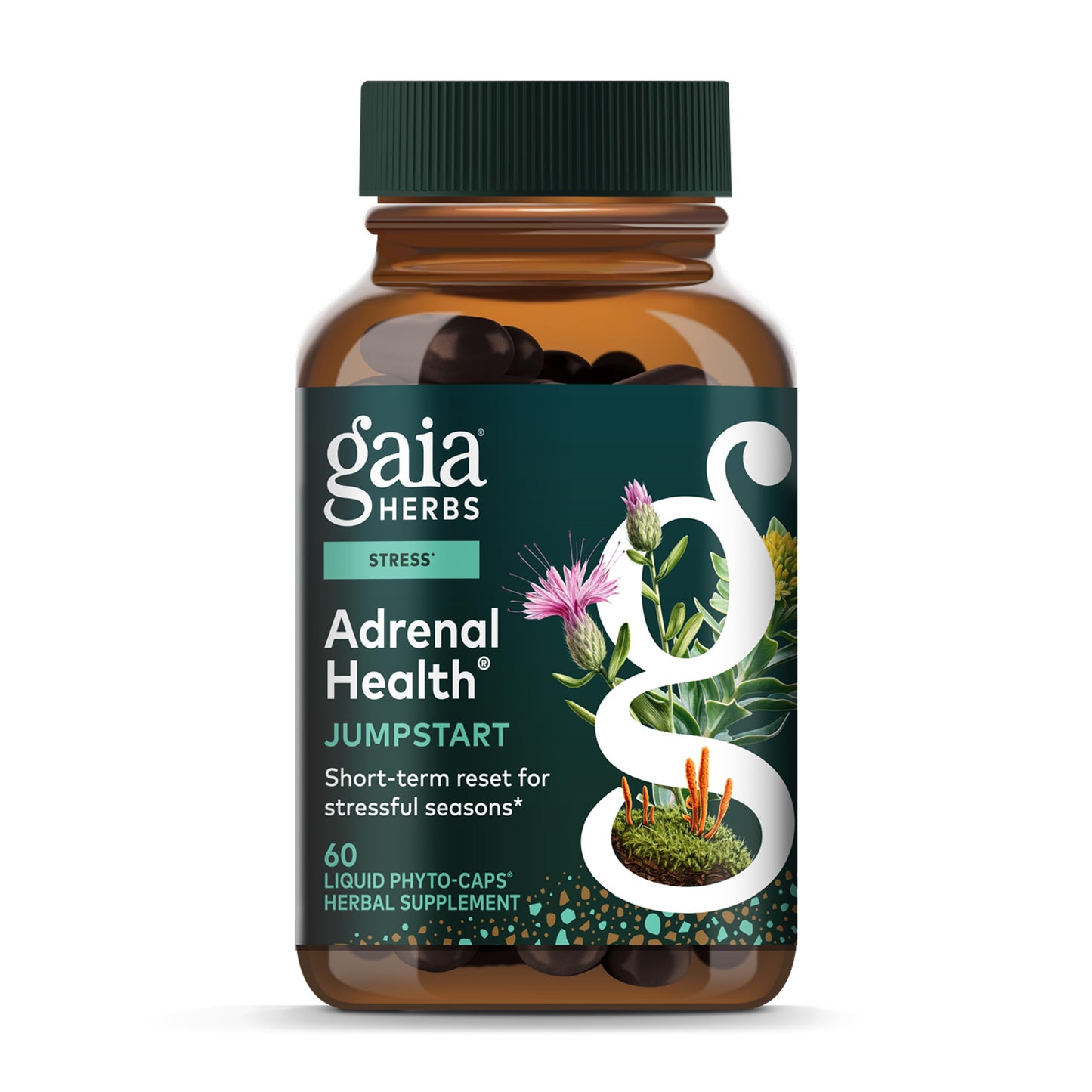 Gaia Herbs Adrenal Health Jumpstart Capsules 60 Count