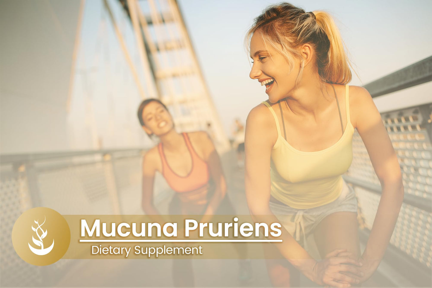PURE ORIGINAL INGREDIENTS Mucuna Pruriens Capsules, 100 Capsules
