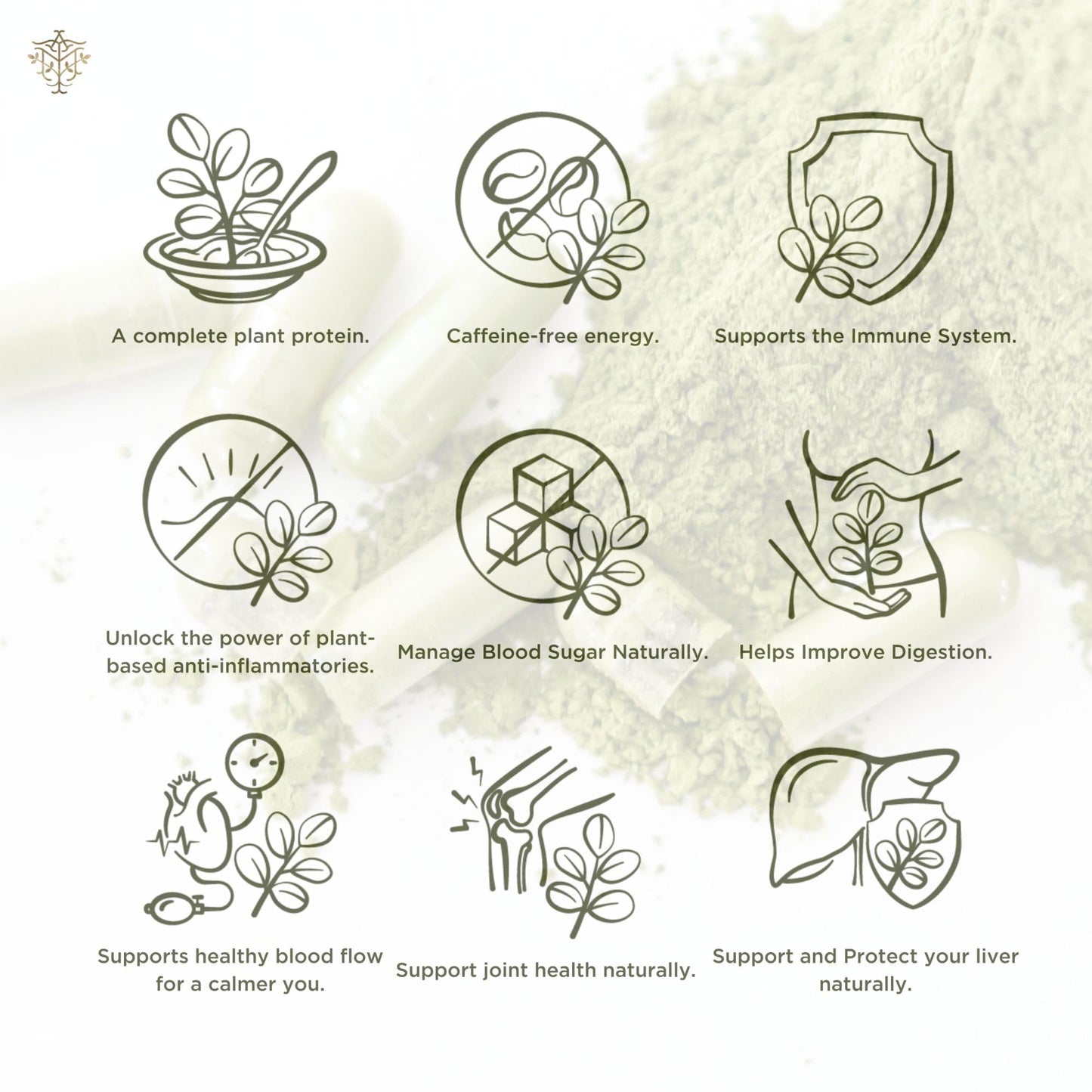 A M Premium Organic Moringa Oleifera Leaf Powder Capsules 120 Capsules