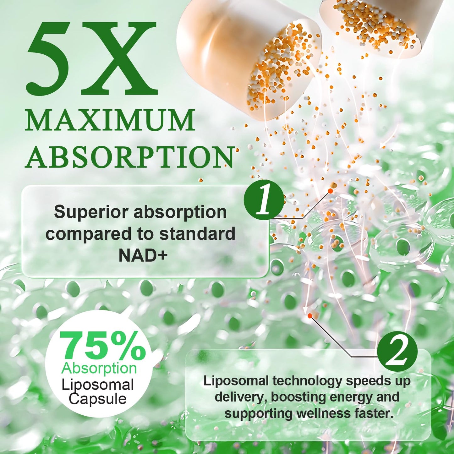 NIFEISHI NAD+ Supplement Nicotinamide Riboside Liposomal, 910 mg, 120 Capsules