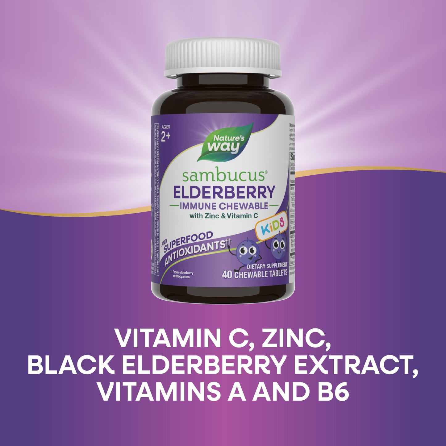Nature's Way Sambucus Elderberry Immune Chewable Tablets 40 Count