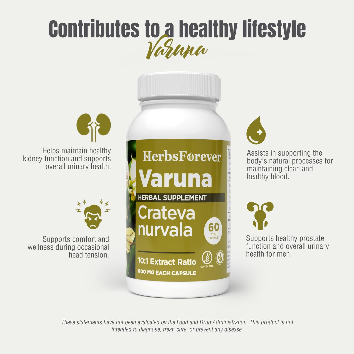 Herbsforever Varuna Nurvala Extract Capsules, 1 Count