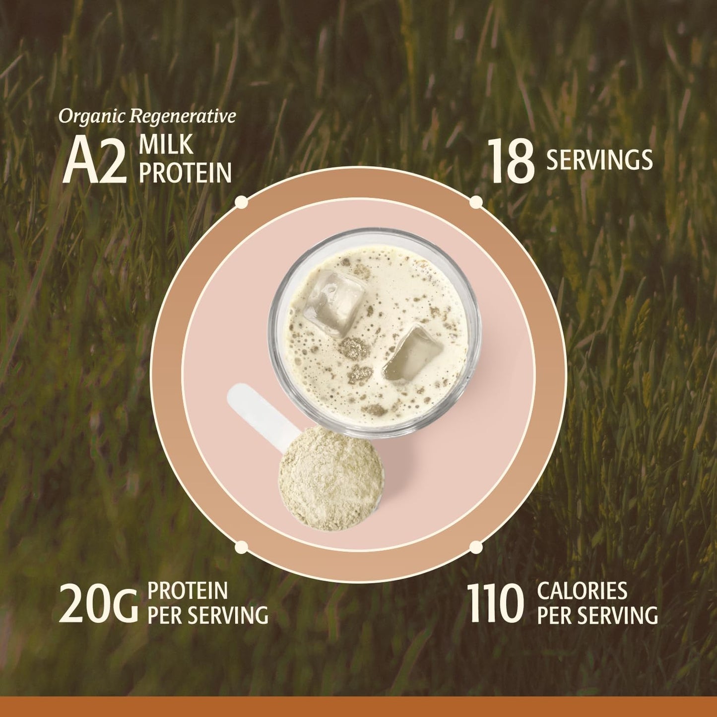 ELEVATE ORGANIC Women's Whey Protein Powder, Vanilla, 20.4 g Protein