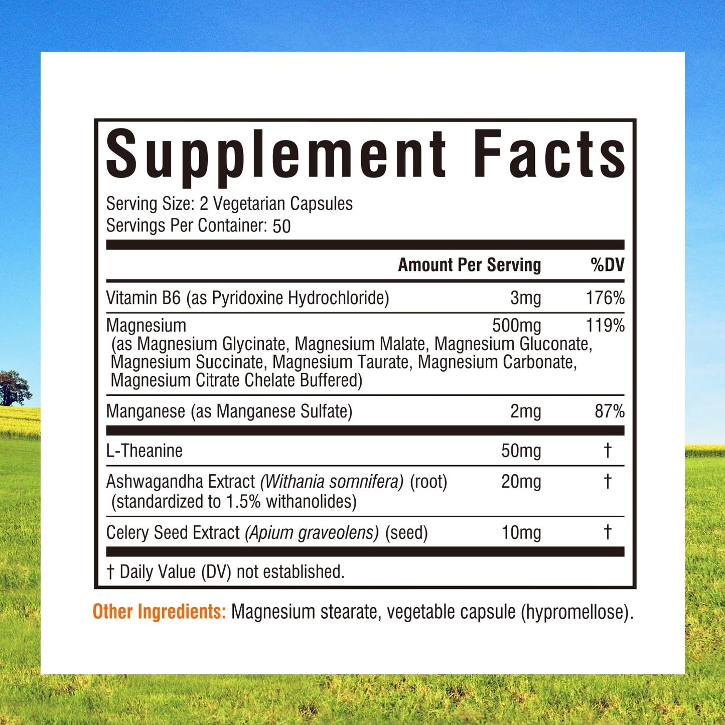 Innate Vitality Magnesium Supplement 7-in-1 Magnesium Capsules with Vitamin B6, Ashwagandha, L-Theanine & Celery, Citrate and Glycinate, High Absorption, Vegan, Non-GMO, 100 Capsules
