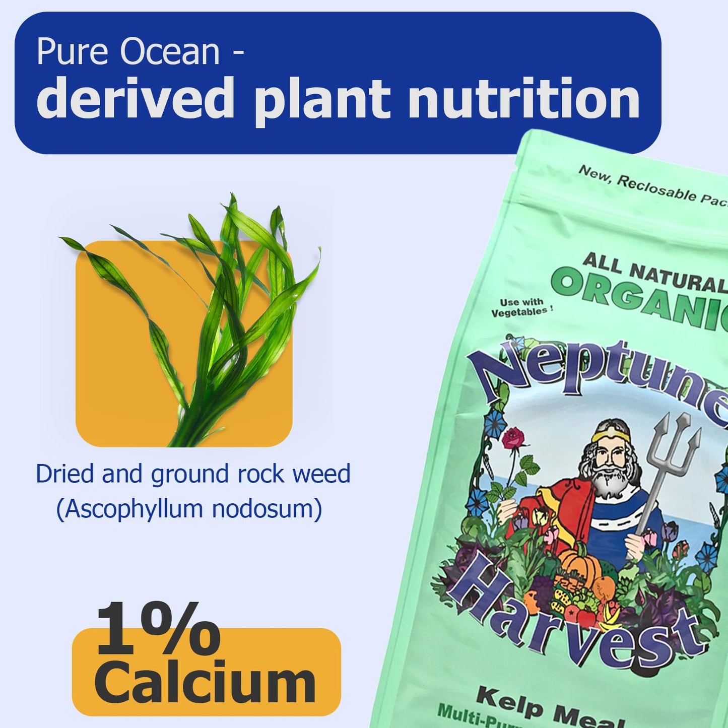 Neptune's Harvest Organic Kelp Meal Plant Food Powder, 4 lb (64 oz)