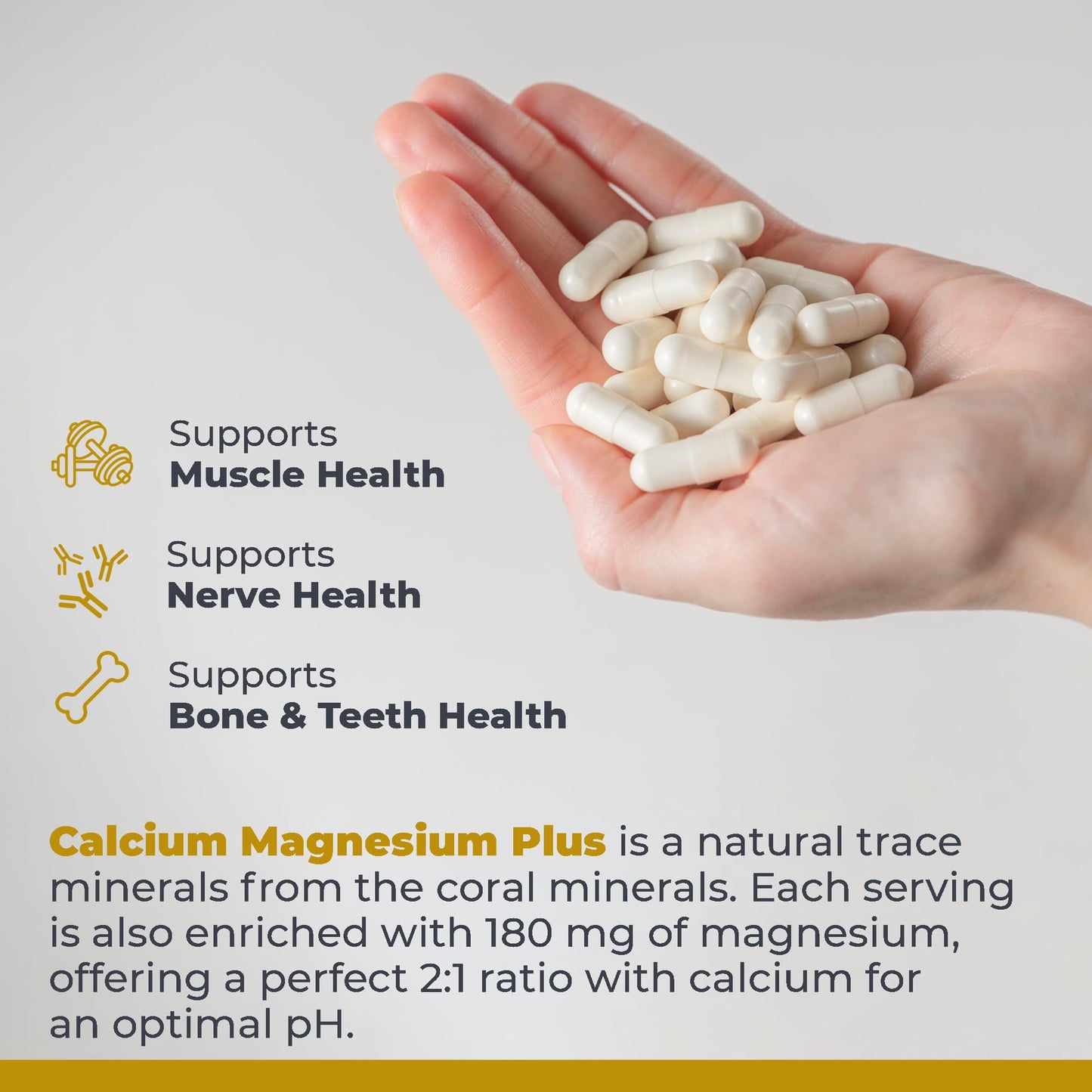 Premier Research Labs Calcium Magnesium Plus with Mushroom Complex - Reishi & Lions Mane, Calcium Magnesium Supplement for Bone Health, 90 Vegetarian Capsules