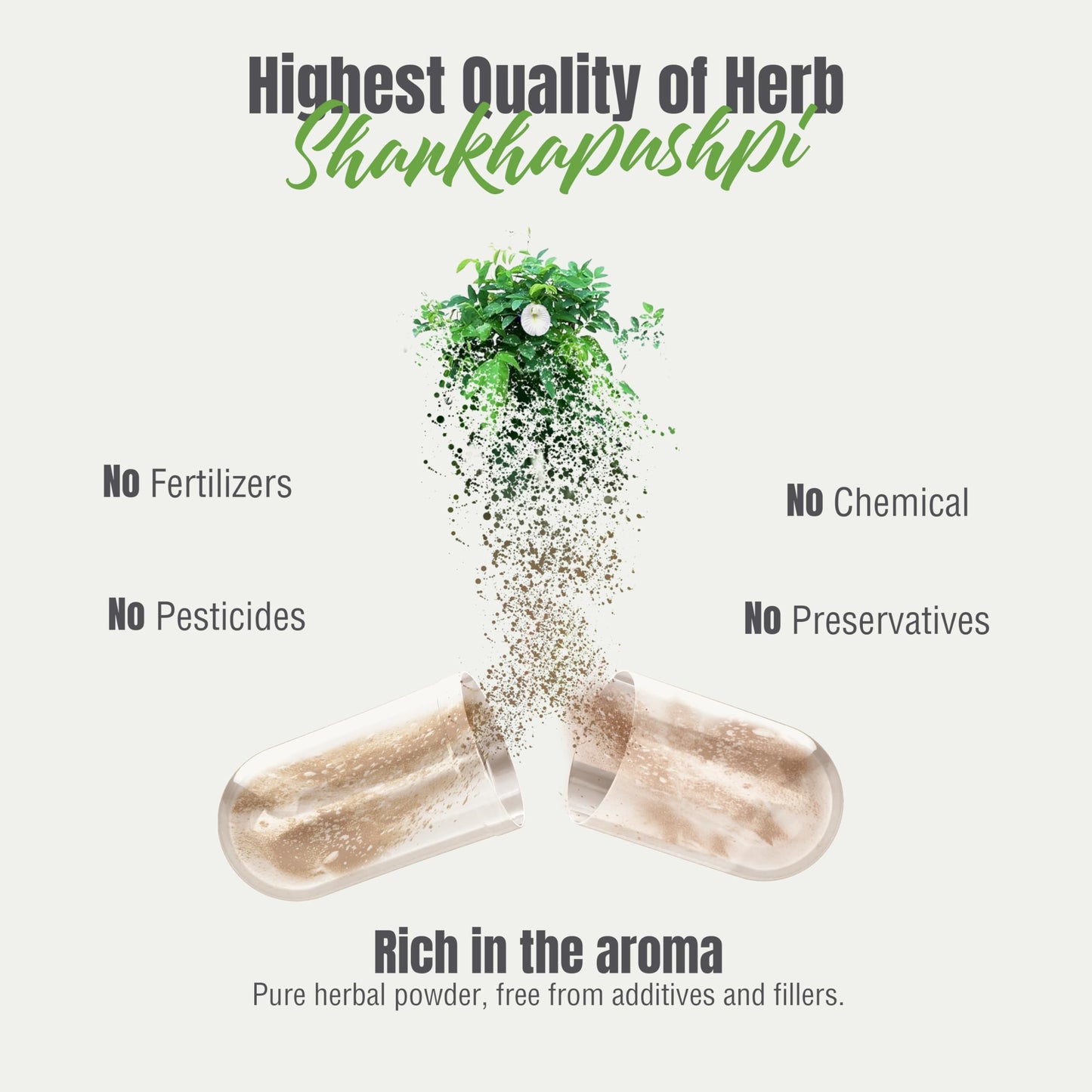 Herbsforever Shankhpushpi (Convolvulus pluricaulis) Extra Strength (20:1) Extract, Equiv. to 4580mg Plant Powder per Serving, Brain Tonic & Cognitive Focus, 60 Veg Capsules