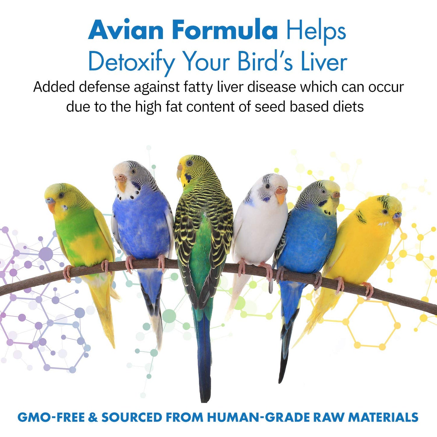 Equa Holistics Avian Milk Thistle + Dandelion Root Dietary Supplement for Parrots, All-Natural Liver Formula, Powder, 1.59 oz