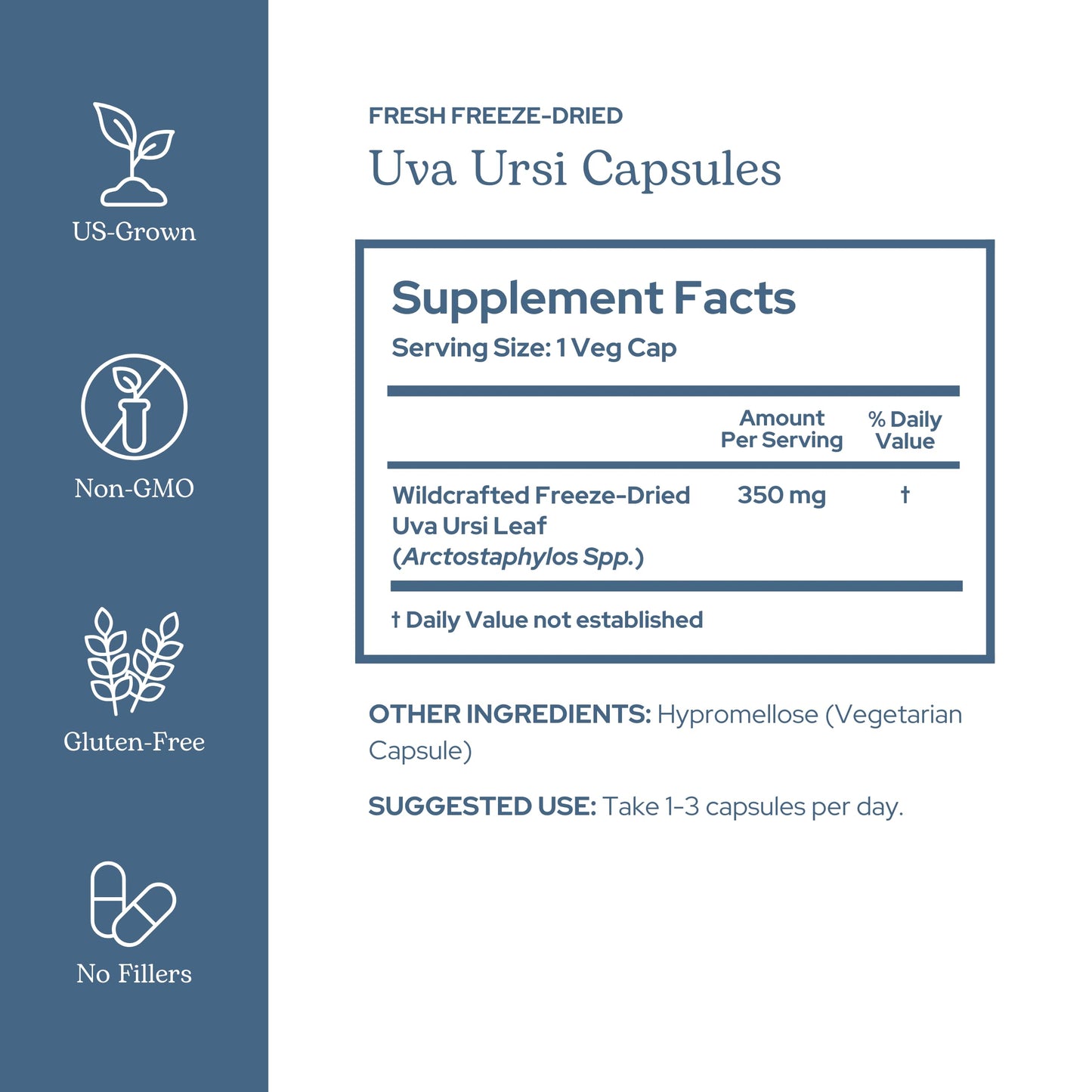 ECLECTIC INSTITUTE Uva Ursi 350 mg Capsules 90 Count