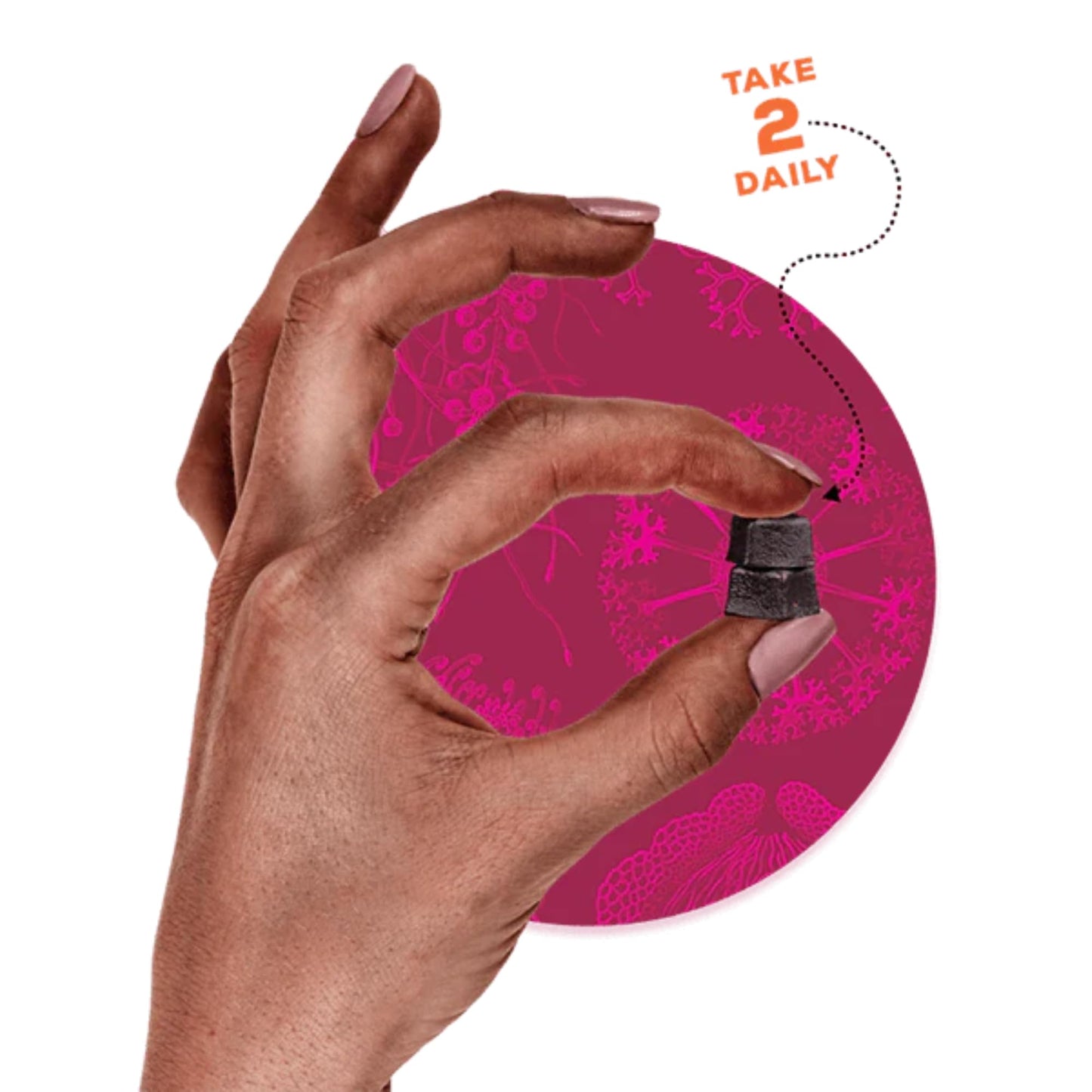 OH MY FUNGI GUMMIES Mushroom Supplement Gummies for Immunity – Reishi, Turkey Tail, Chaga, Zinc, D3 – Vegan Gummy for Healthy Immune Support - Elderberry Blueberry Flavor, 60 Count