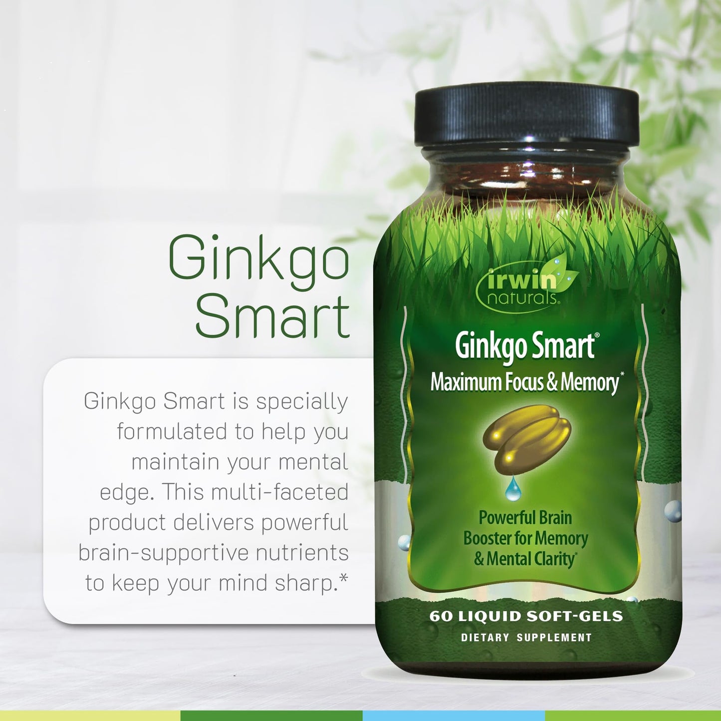Irwin Naturals Ginkgo Smart Memory & Brain Support Softgel 60 Count