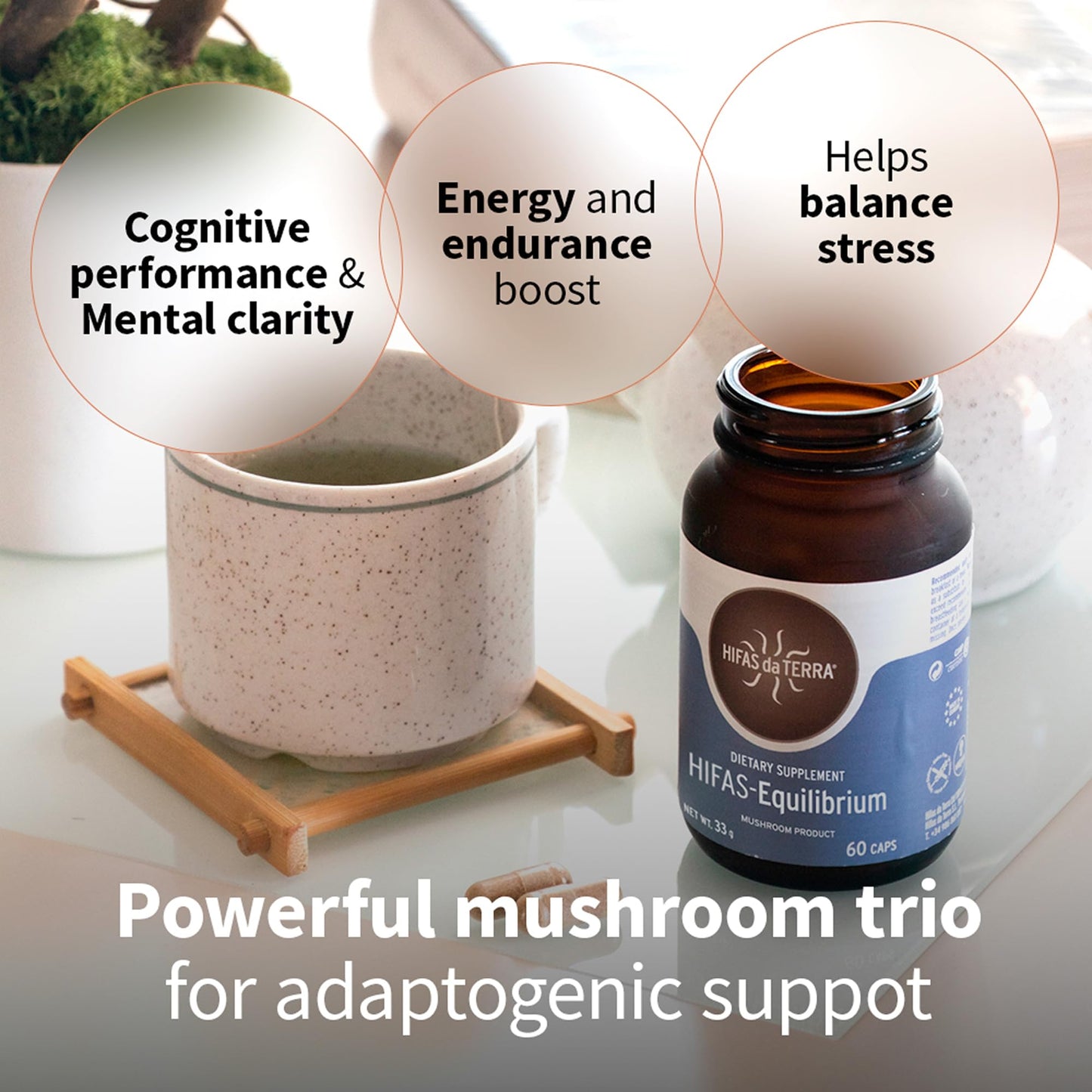 HIFAS DA TERRA HIFAS-Equilibrium Lions Mane Mushroom Complex with Cordyceps Capsule 60