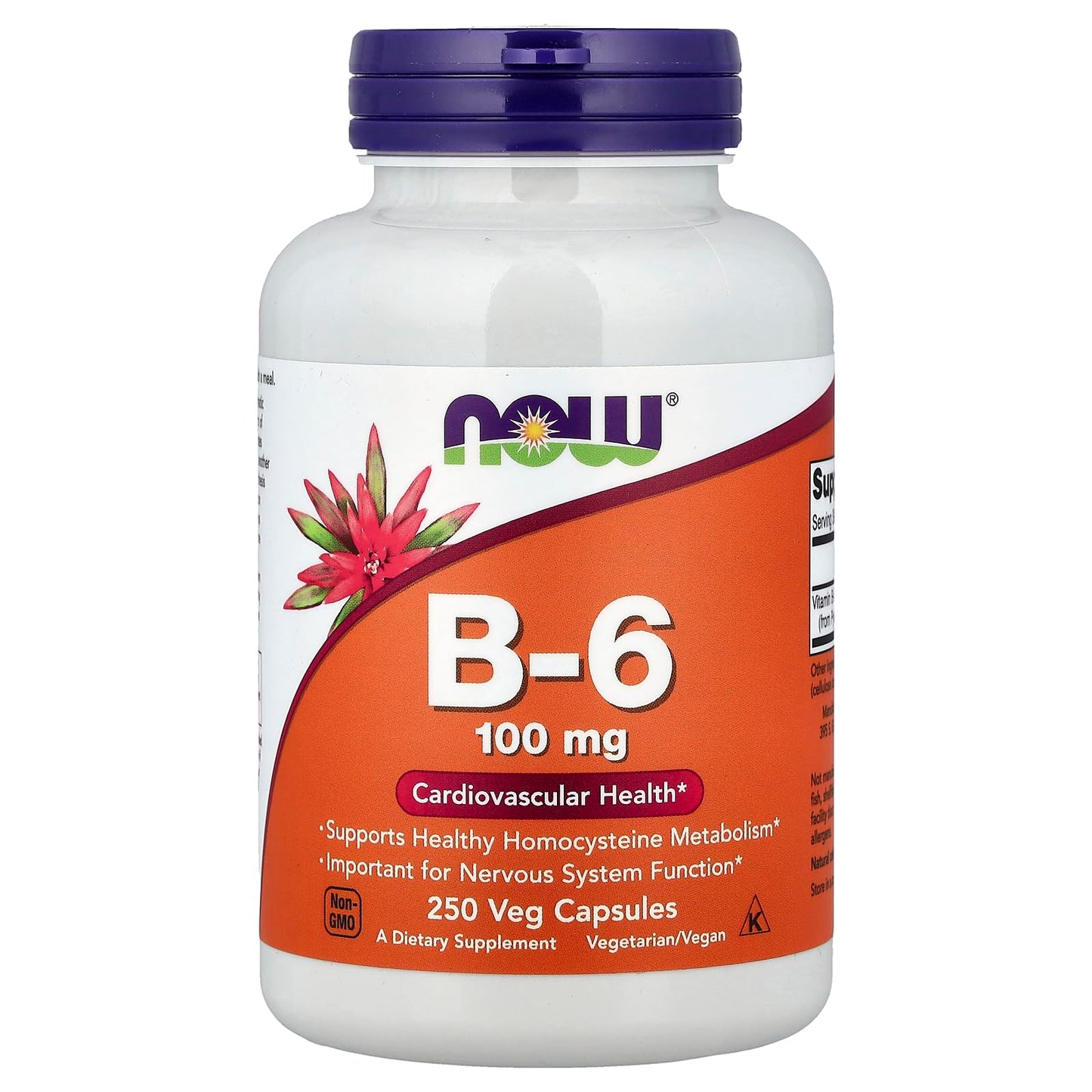 NOW Foods Vitamin B-6 100 mg Capsules, 250 Count