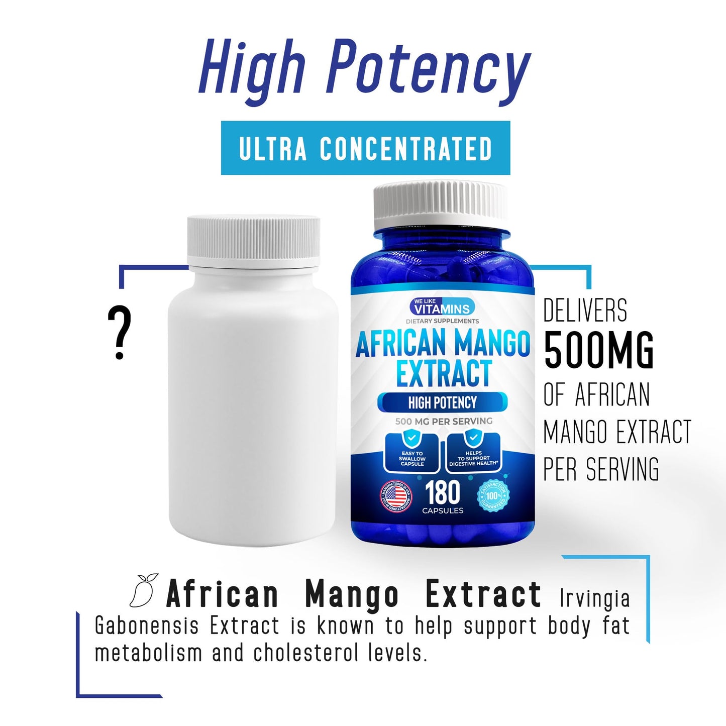 We Like Vitamins African Mango Extract 500mg Capsules 180 Count