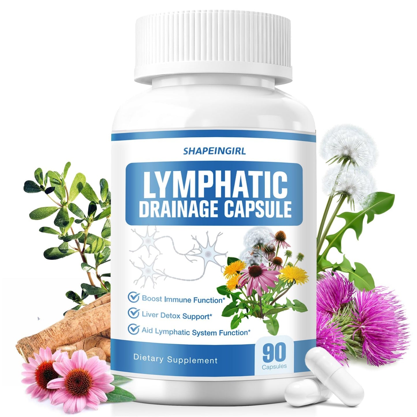 SHAPEINGIRL Lymphatic Drainage Supplement with Echinacea, Dandelion, Burdock, Bromelain, Cleavers & Milk Thistle, 90 Capsules