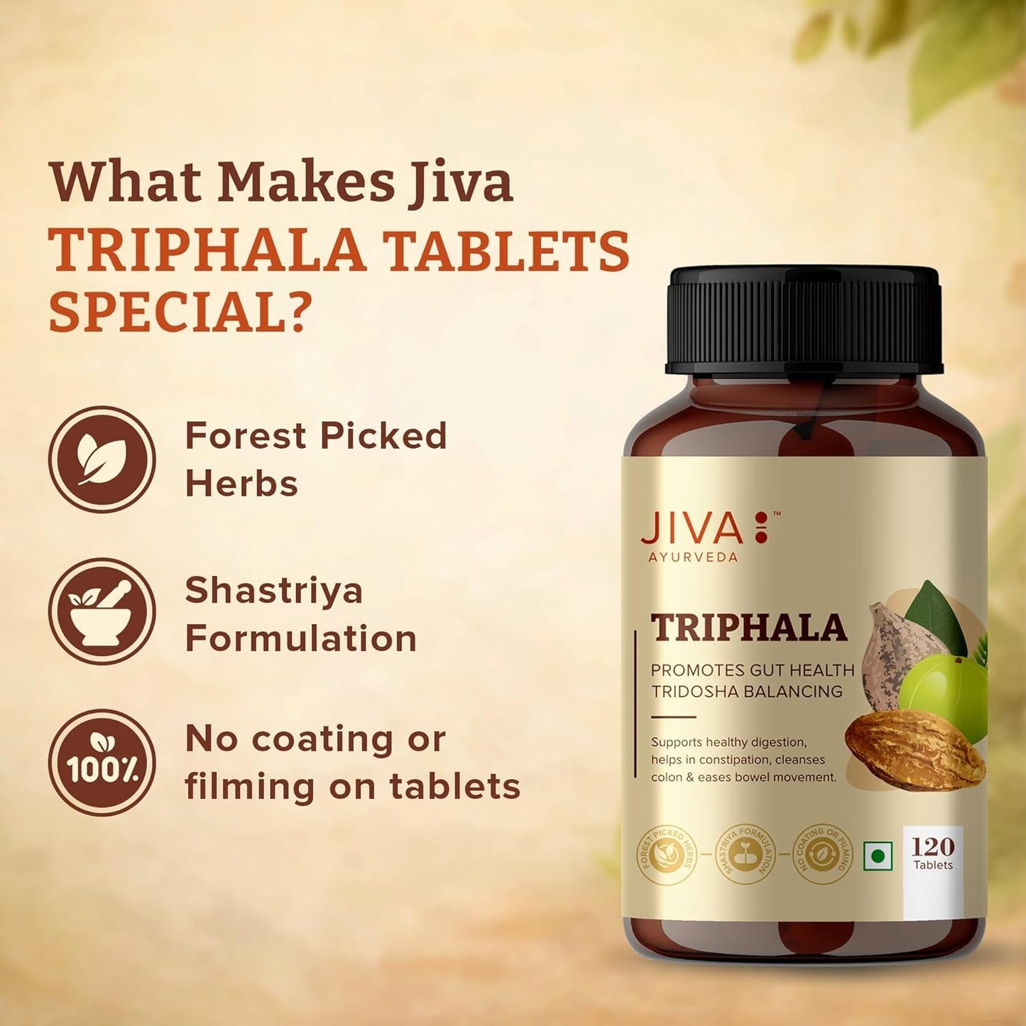 Jiva Ayurveda Triphala Tablets, 120 Count