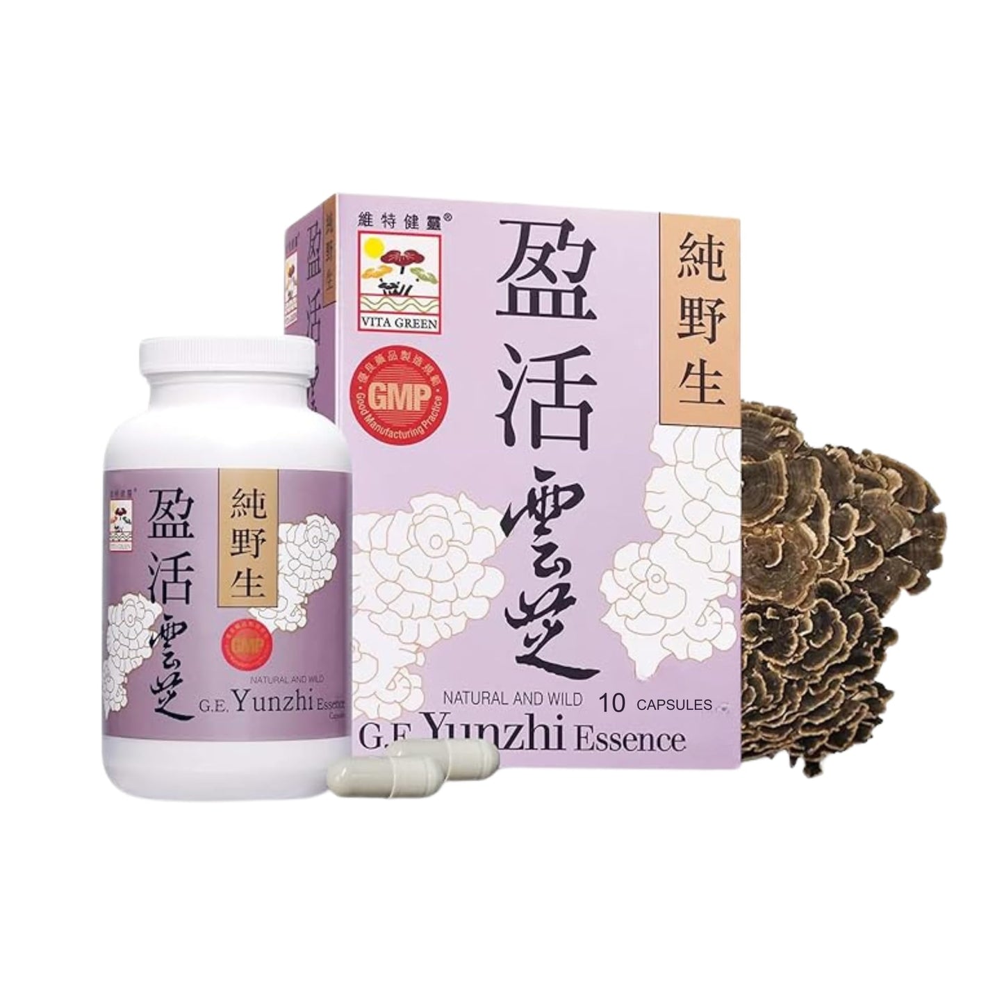 Vita Green Turkey Tail Mushroom - Yunzhi Immune Support Capsules, 10 Count