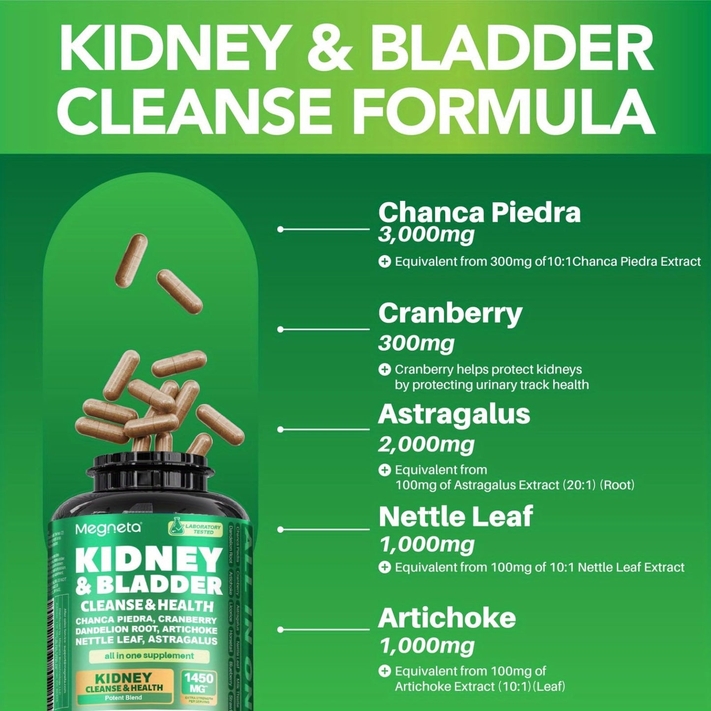 MEGNETA Kidney and Bladder Support Supplement with Cranberry, Astragalus, Nettle Leaf, Artichoke, Capsules, 120 Count