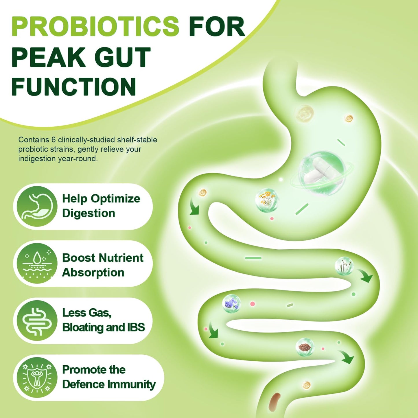 Nature Target Prebiotic Fiber Supplement with 60 Billion Probiotics for Digestive Health 120 Capsules
