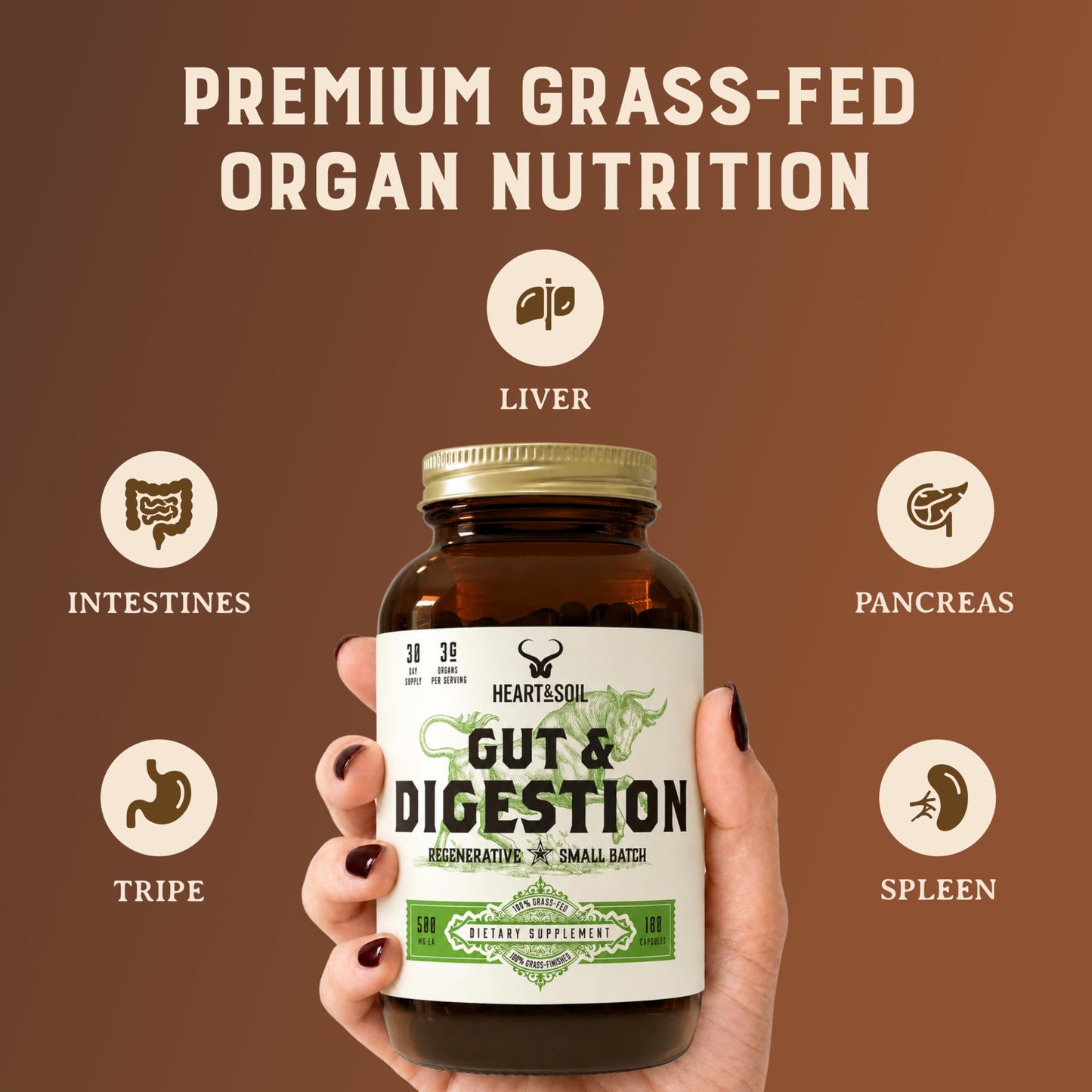 HEART & SOIL Gut & Digestion Supplement Capsule 100