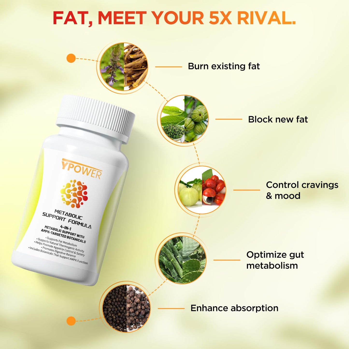Ypower Natural Thermogenic Fat Burner – 4 in 1 Metabolic Support for Stubborn Fat, Metabolism Boost & Weight Control, 24/7 Weight Loss, 60 Capsules