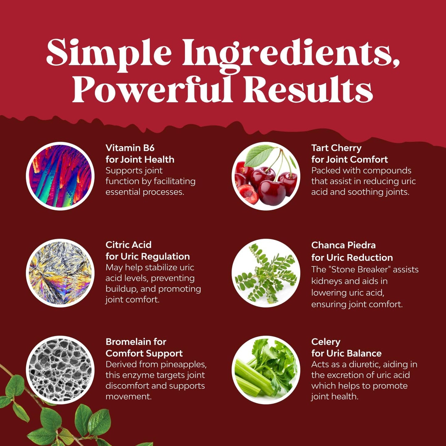 Natures Craft Green Coffee Bean Extract Capsule 90 Count