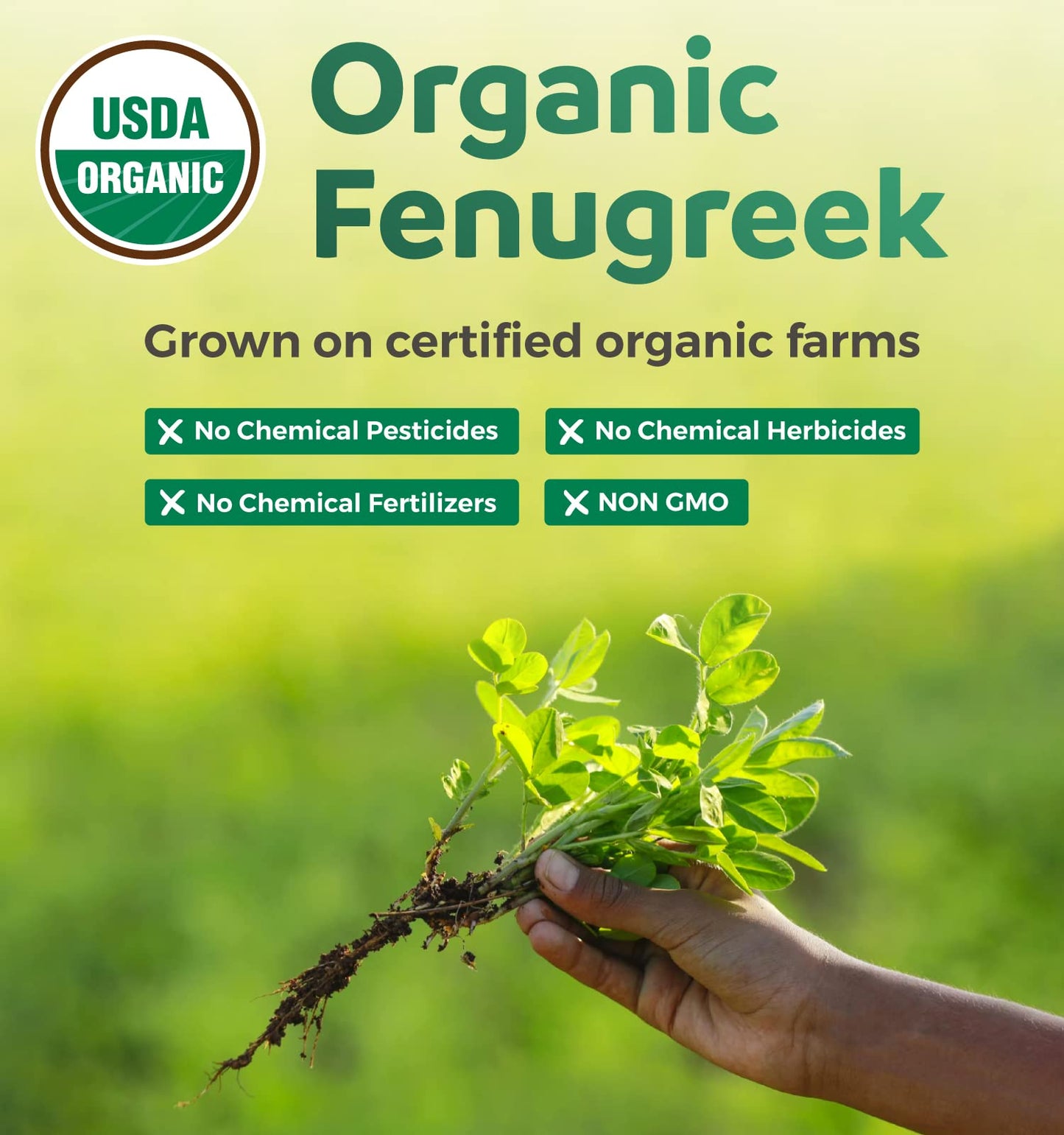PURE CO USDA Organic Fenugreek Capsules, 60 Count