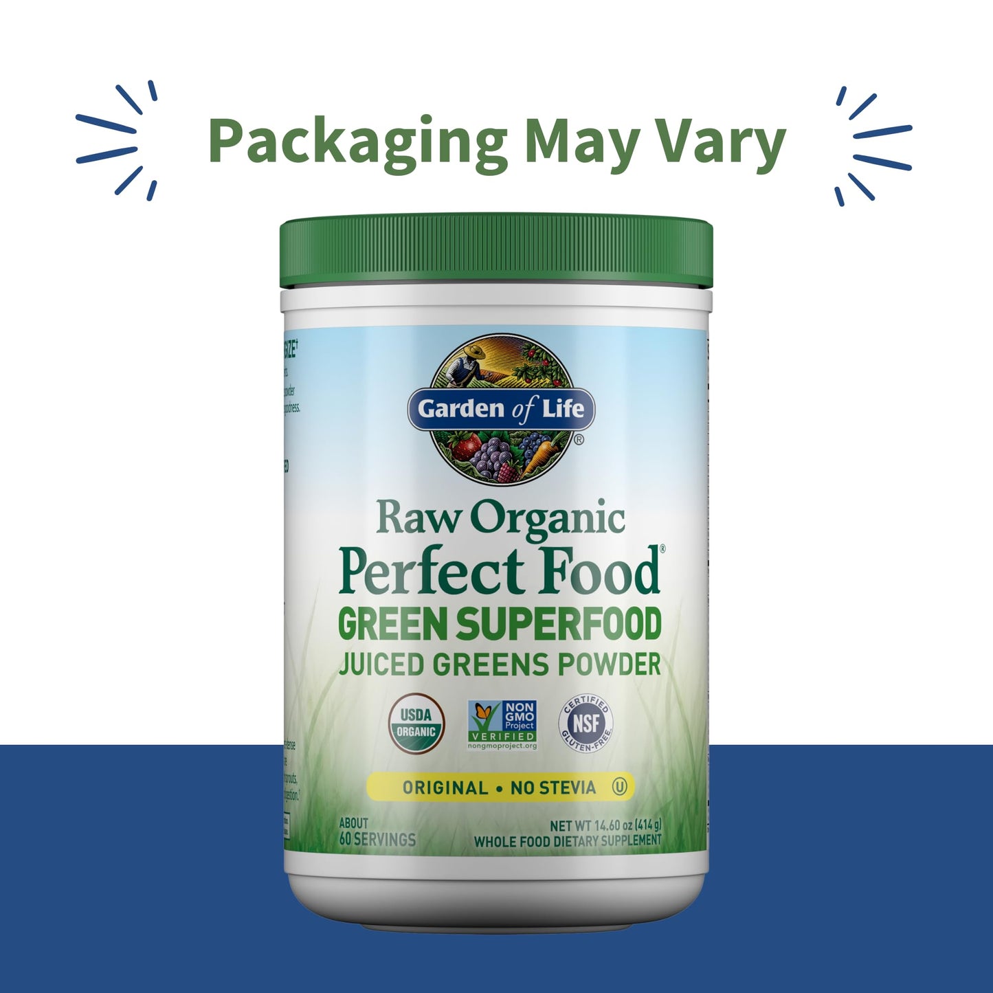 Garden of Life Raw Organic Perfect Food Superfood Juiced Greens Powder 14.6