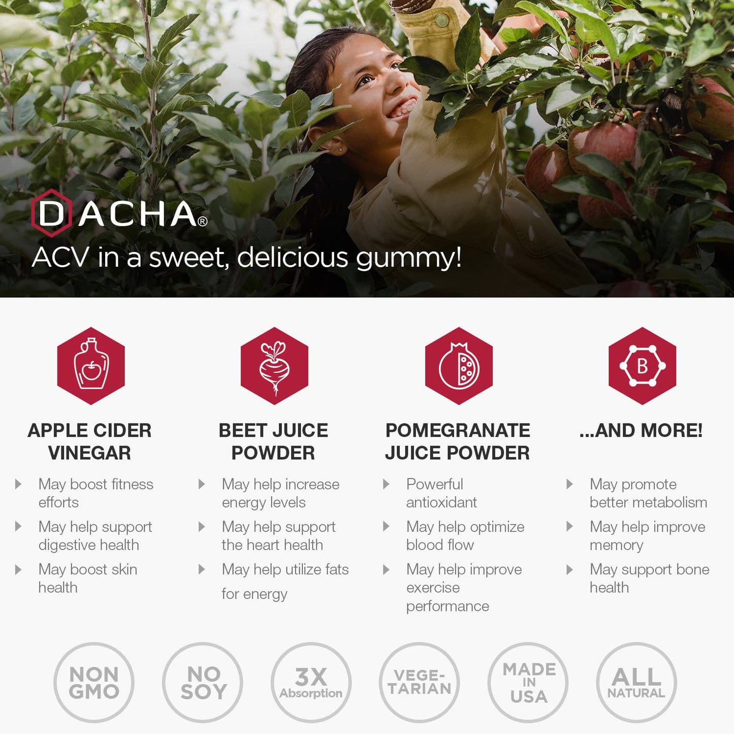DACHA Premium Apple Cider Vinegar Gummies, 80 Count