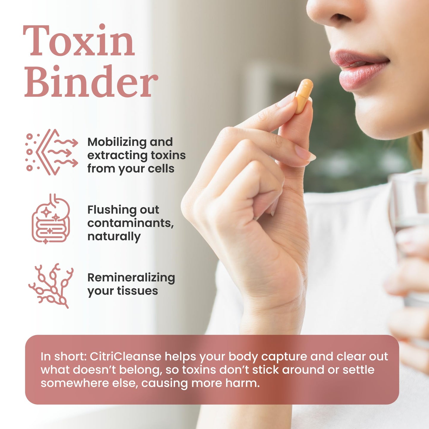 Myers Detox Heavy Metal Detox Toxin Binder with Pectin & Fulvic, 120 Capsules