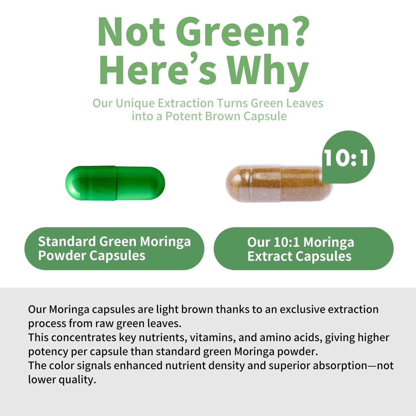 MISS PEP Moringa Capsules 800 mg, 120 Count
