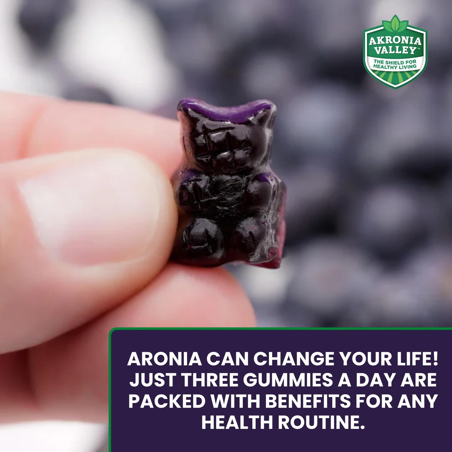 Akronia Valley Aronia Berry Gummies Gummy 45 Count