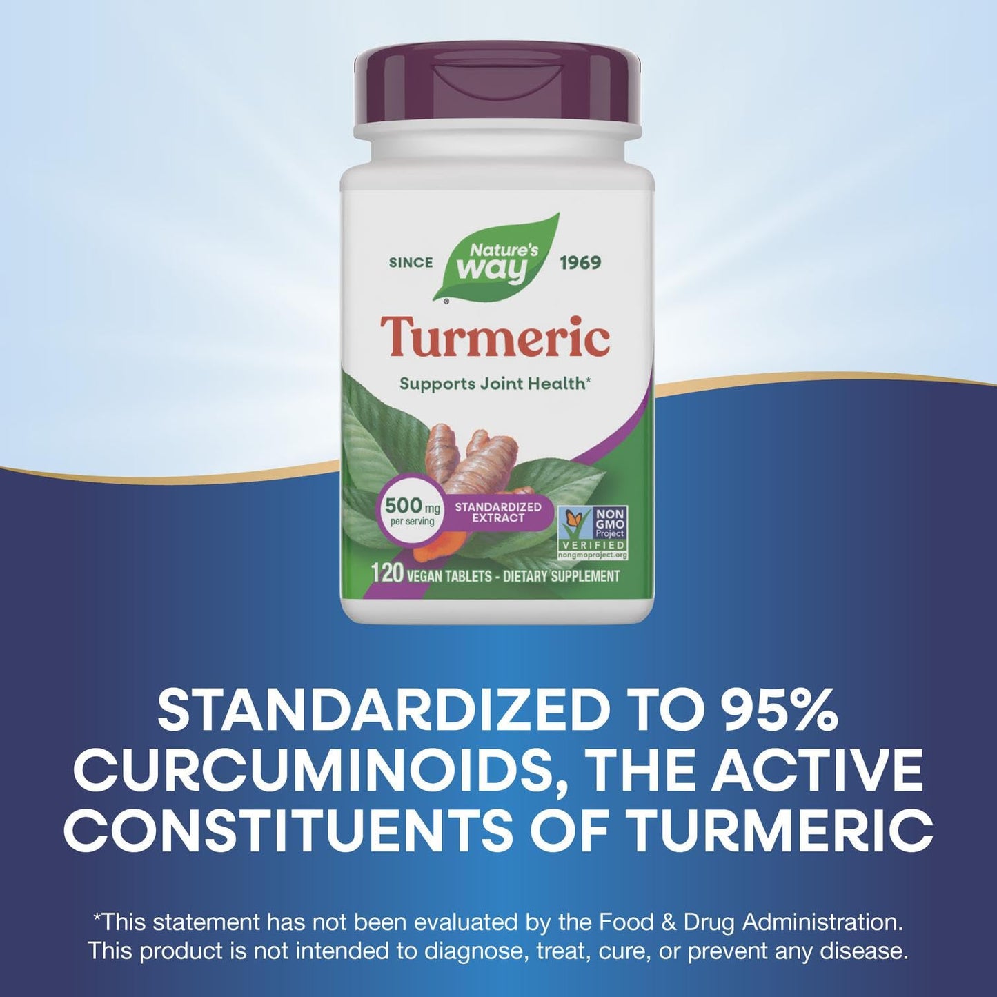 Nature's Way Turmeric Premium Extract Supports Joint Health 95% Curcuminoids 500 mg Tablet, 120 Tablets