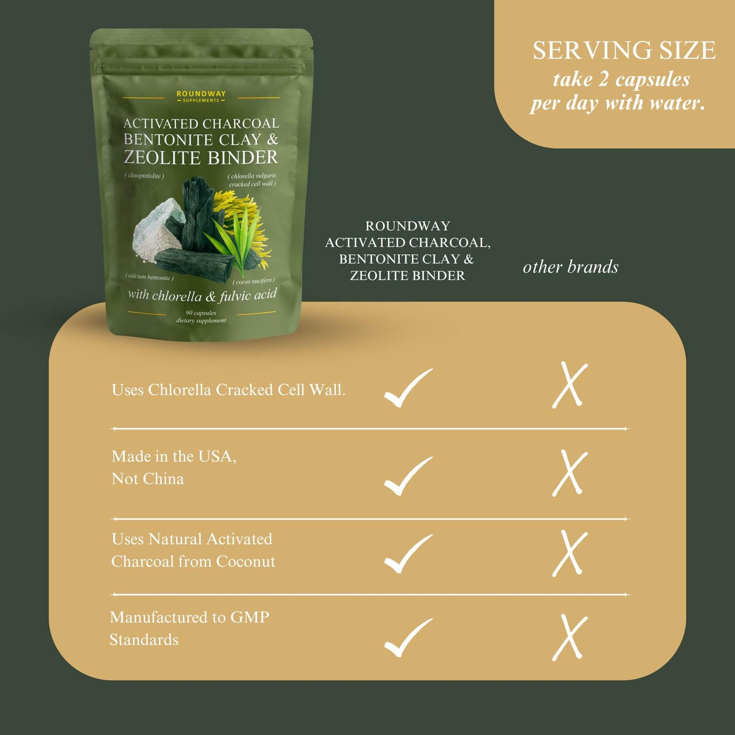 Roundway Supplements Zeolite Binder for Cleanse & Detox Protocols with Activated Charcoal, Bentonite Clay, Chlorella & Fulvic Acid Advanced Full Spectrum Binder, 90 Capsules